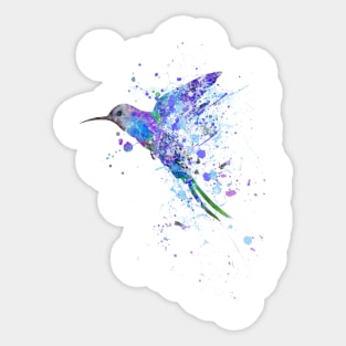 Hummingbird Sticker